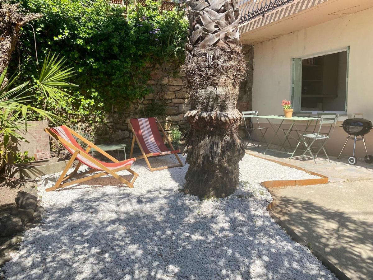 Gite Le Palmier - Perfectly Located Cosy Studio With Private Garden Puissalicon Kültér fotó