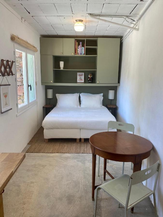 Gite Le Palmier - Perfectly Located Cosy Studio With Private Garden Puissalicon Kültér fotó