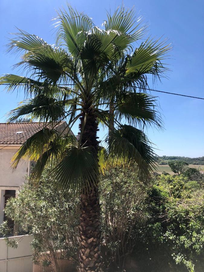 Gite Le Palmier - Perfectly Located Cosy Studio With Private Garden Puissalicon Kültér fotó