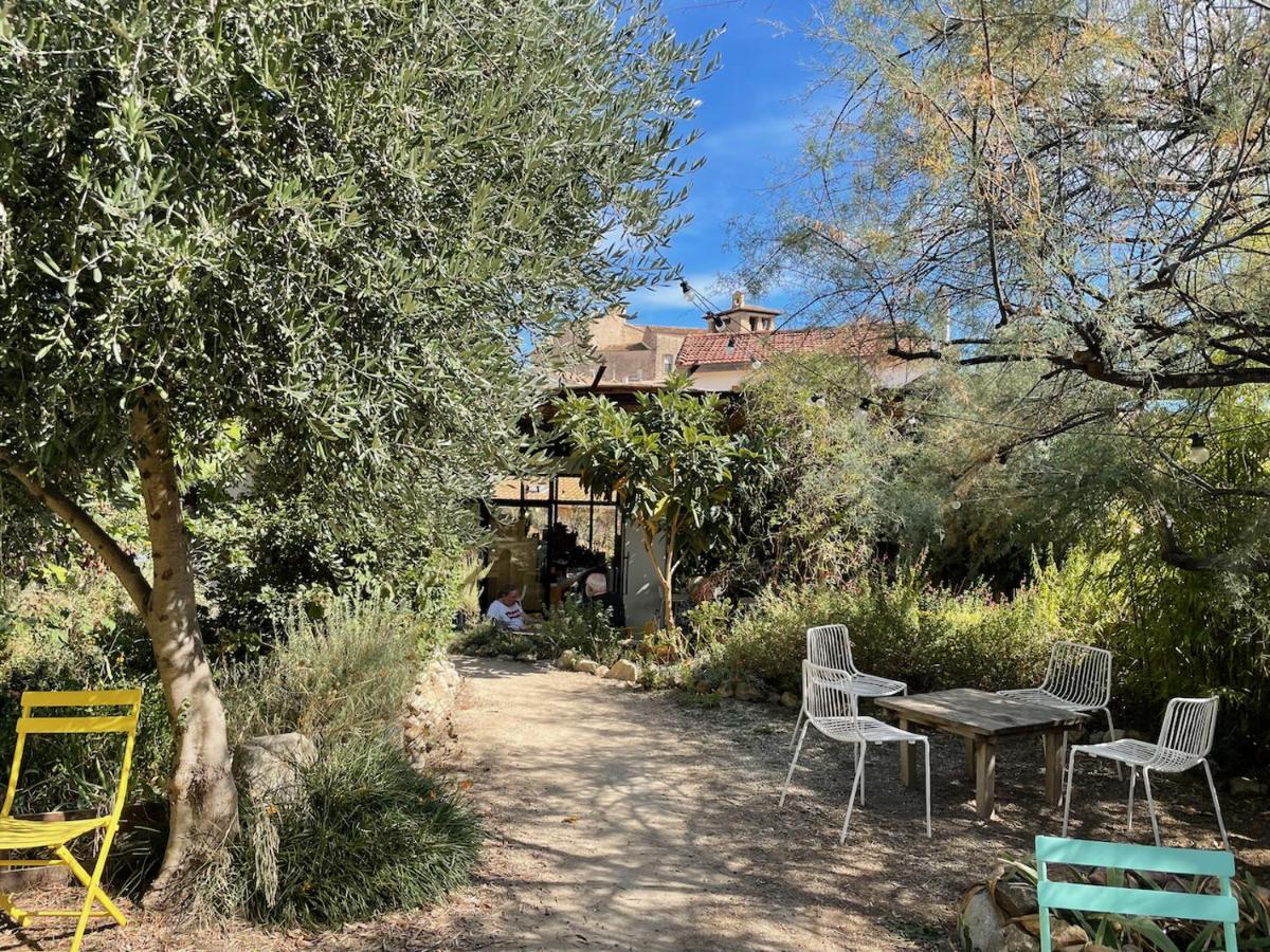 Gite Le Palmier - Perfectly Located Cosy Studio With Private Garden Puissalicon Kültér fotó