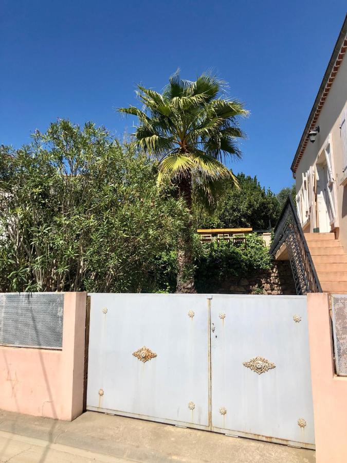 Gite Le Palmier - Perfectly Located Cosy Studio With Private Garden Puissalicon Kültér fotó