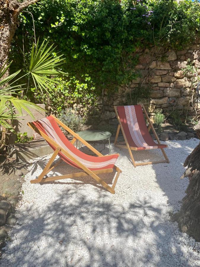 Gite Le Palmier - Perfectly Located Cosy Studio With Private Garden Puissalicon Kültér fotó